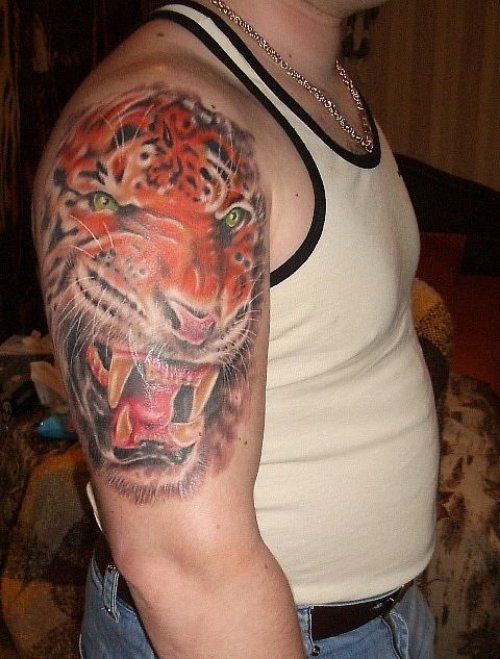 3D Roaring Tiger Head Tattoo On Right Shoulder