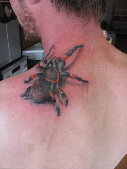 Color 3d Spider Tattoo On Upper Shoulder