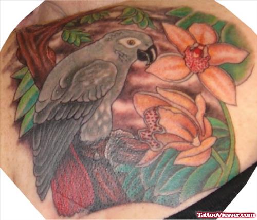 African Grey Parrot With Orchards Tattoo