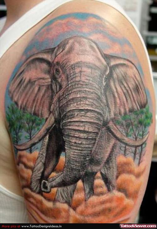 African Elephant Tattoo On Left Shoulder