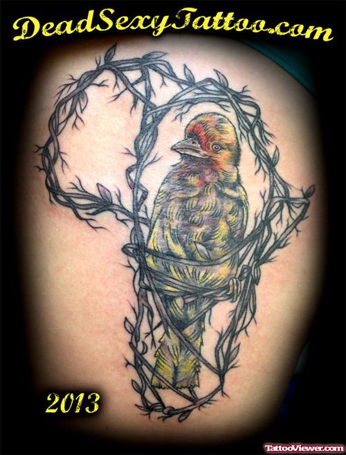 Awesome African Cape Bird Tattoo