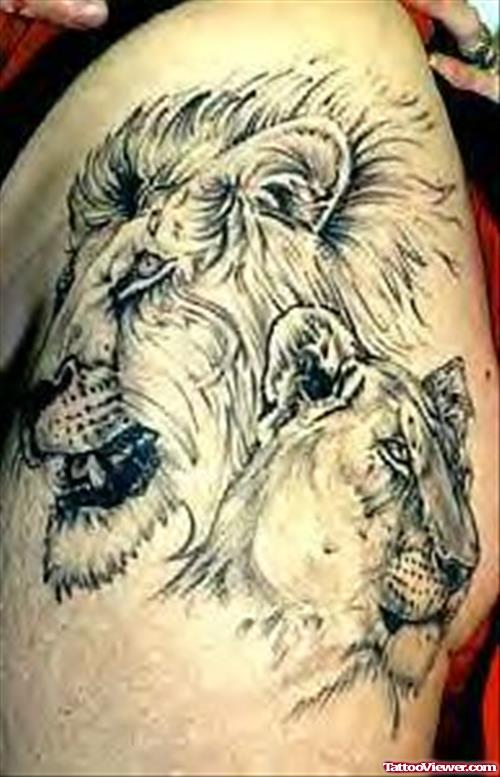 African Lion Head Tattoos