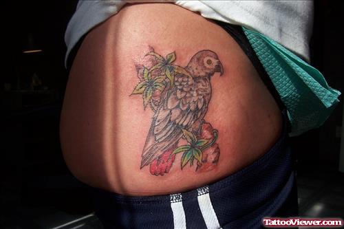 African Grey Bird Tattoo On Side