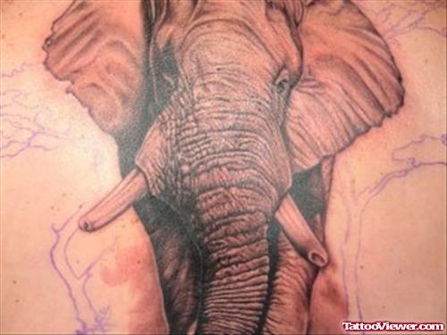 Grey African Elephant Tattoo