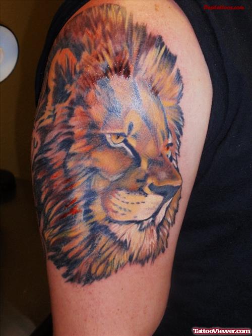 Awesome African Lion Head Shoulder Tattoo