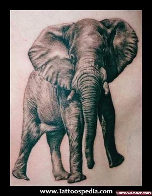 African Elephant Tattoo Design