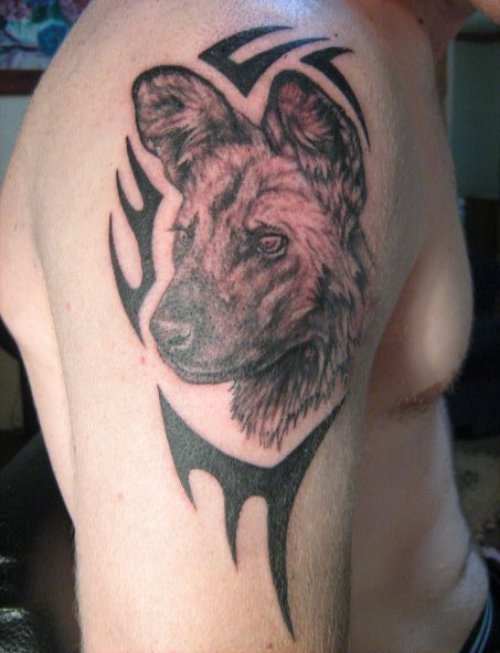 Wild Dog Head And Tribal Tattoo On Shoulder