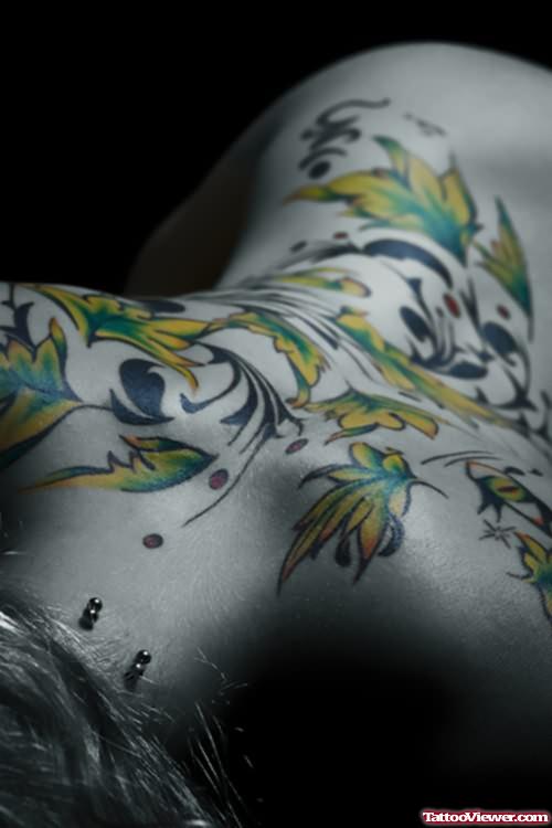 Amazing Colourful wings Tattoo On Back
