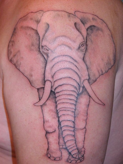 Grey Ink Elephant Animal Tattoo