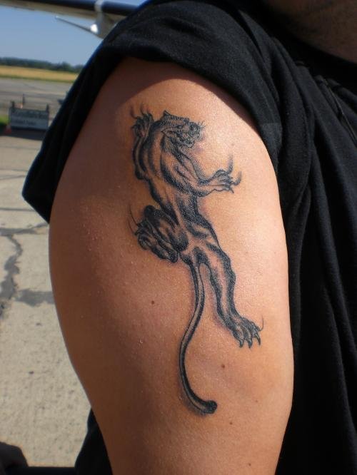 Panther Animal Tattoo On Right Shoulder