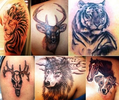 Back Shoulder Animal Tattoos Designs