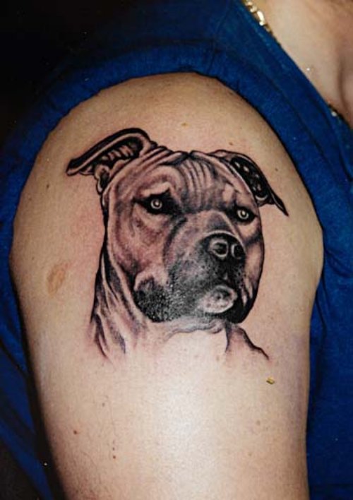 Grey Ink Dog Head Animal Tattoo