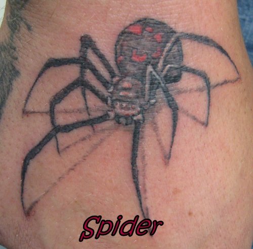 Colored Spider Animal Tattoo