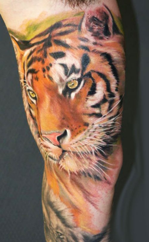 Colored Lion Head Animal Tattoo On Sleeve