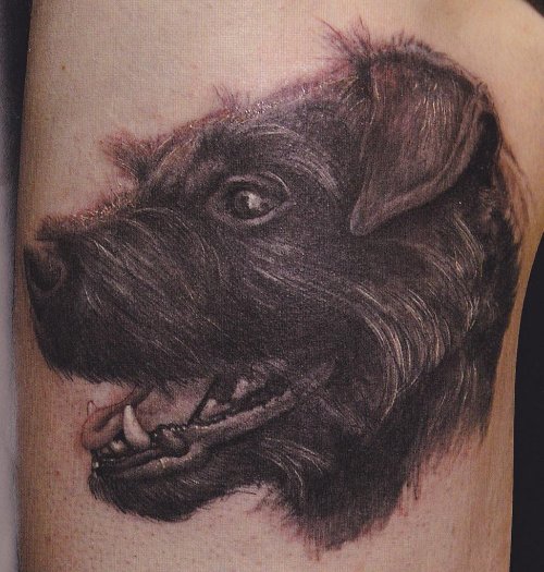 Black Dog Head Animal Tattoo