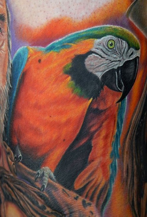 Colored Parrot Animal Tattoo