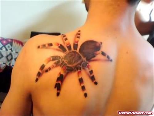 Spider Animated Tattoo on Back Shoulder