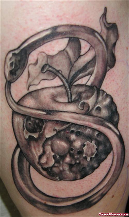 Grey Ink Rotten Apple Tattoo Design