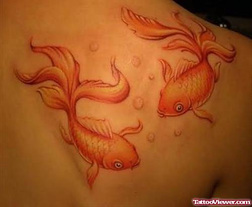 Cool Aqua Fish Tattoos On Back
