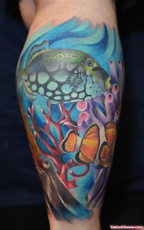 Colored Aqua Tattoo On Back Leg