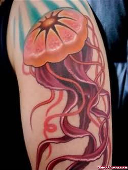 Amazing Colored Aqua Tattoo On Left Sleeve