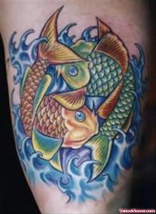 Color Ink Aqua Tattoo On Arm