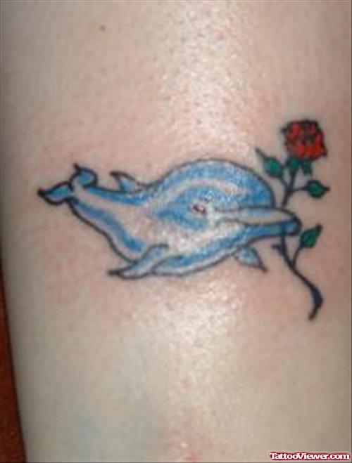 Blue Dolphin and Red Rose Tattoo