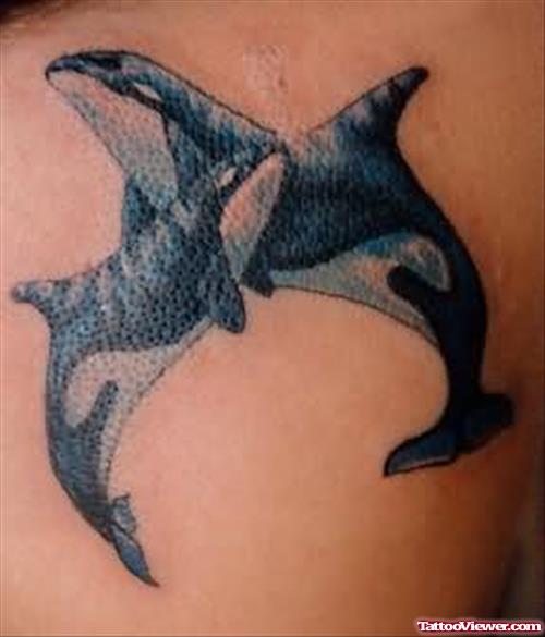 Aqua Sharks Tattoos