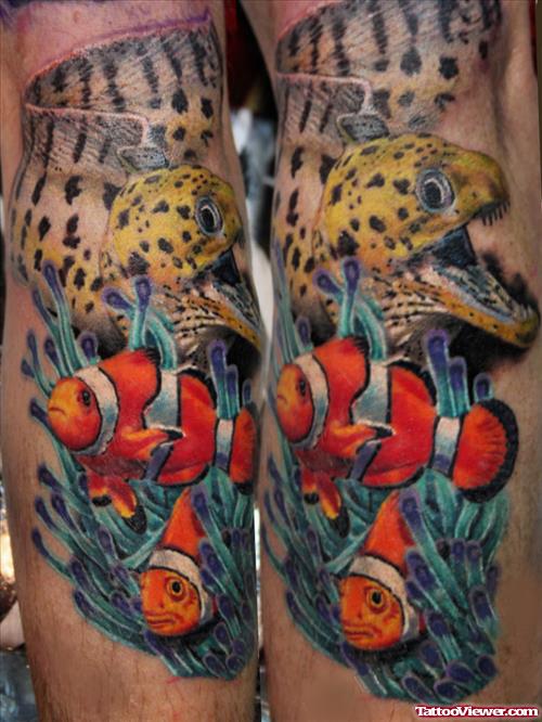 Aqua Fish Tattoos