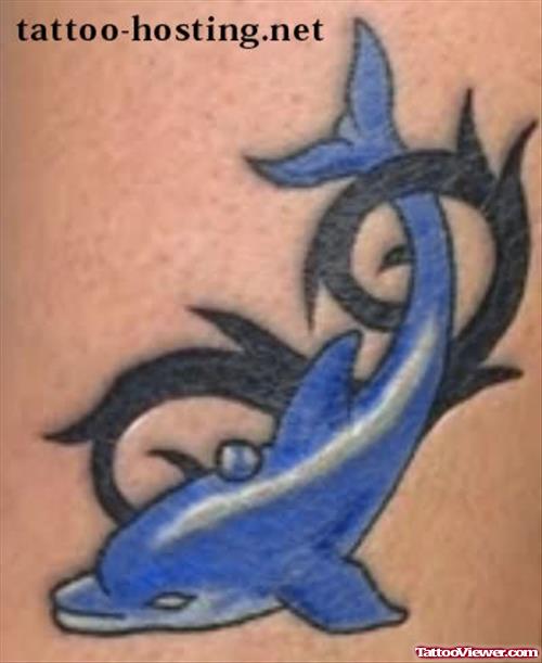 Amazing Black Tribal And Aqua Dolphin Tattoo