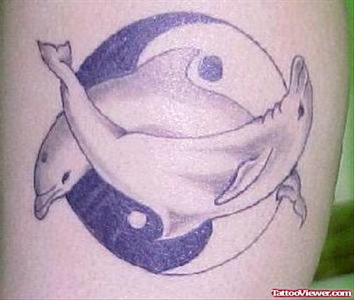 Grey Ink Yin Yang Dolphins Aqua Tattoo