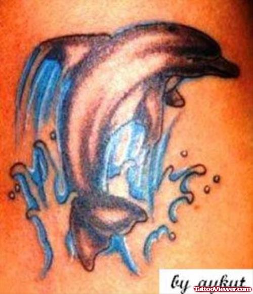 Dolphin From Water Aqua Tattoo