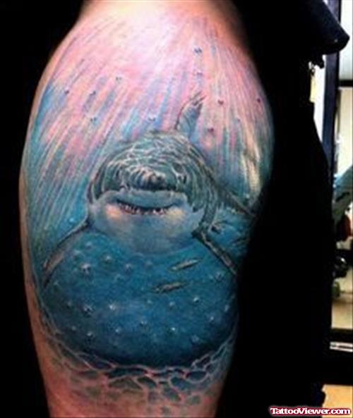 Color Dolphin Aqua Tattoo On Half Sleeve