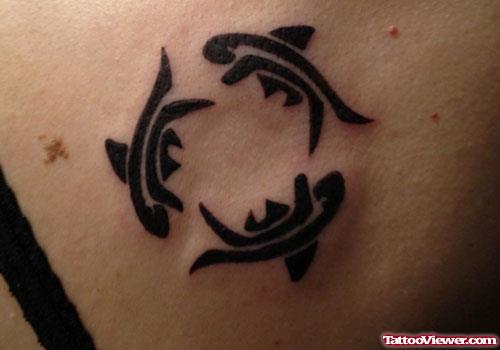 Black Tribal Dolphin Aqua Fish Tattoos On Back