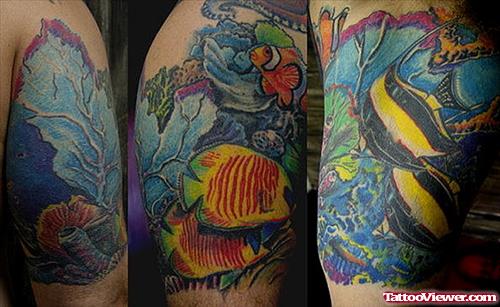 Color Ink Aqua Tattoo On Right Shoulder