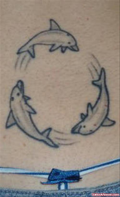 Grey Ink Dolphins Aqua Tattoo On Lowerback