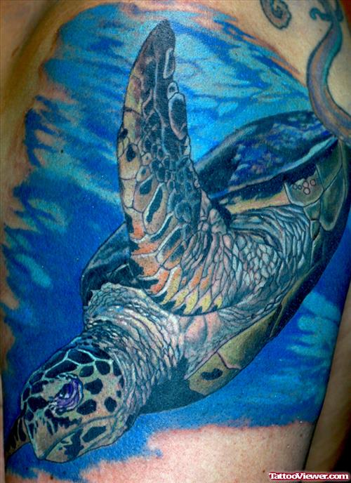 Blue Ink Turtle Aqua Tattoo On Shoulder