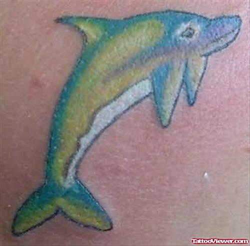 Beautiful Dolphin - Aqua Tattoo