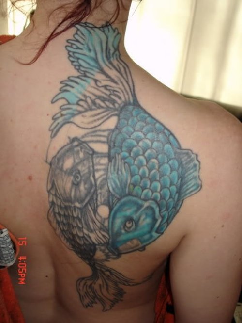 Grey Ink Aqua Fish Tattoos On Right Back Shoulder