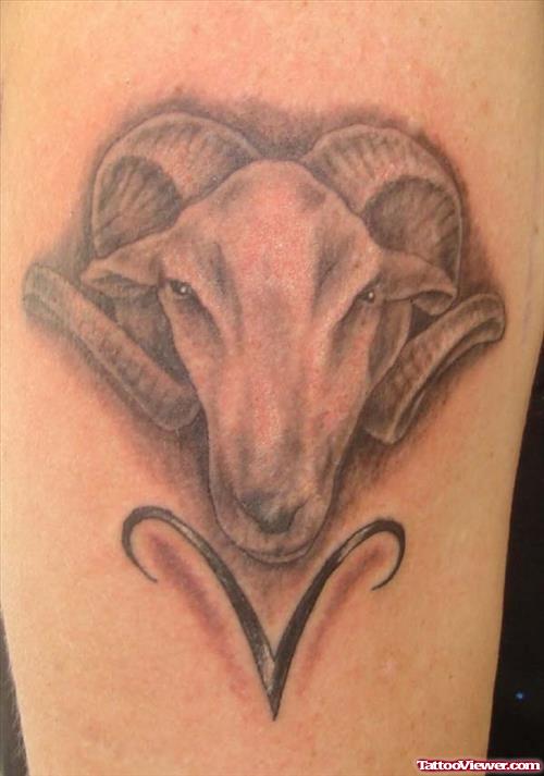 Awesome Grey Ink Goat Head And Aries Tattoo
