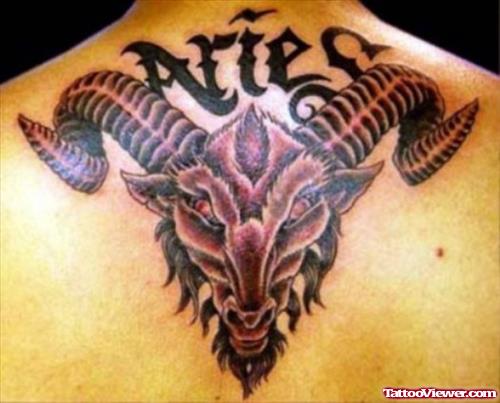 Amazing Aries Tattoo On Upperback