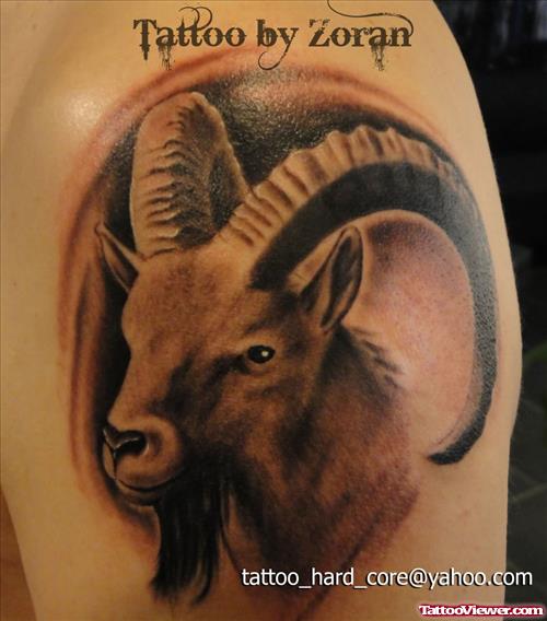 Grey Ink Goat Head Aries Tattoo On Shoulder