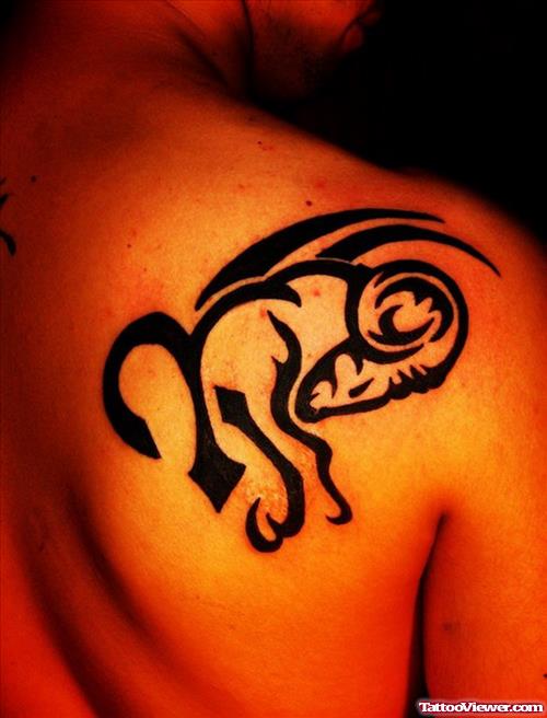 Black Tribal Aries Tattoo On Right Back Shoulder