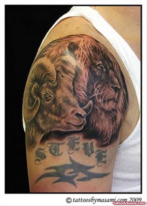 Tribal And Goat Heads Aries Tattoo On Man Right Shoulder