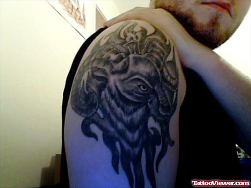 Grey Ink Goat Head Aries Tattoo On Man Right Shoulder