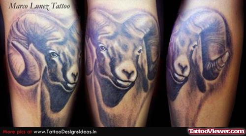 Amazing Goat Head Aries Tattoo On Shoulder