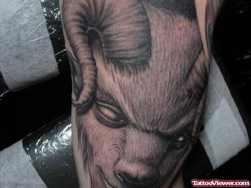 Nice Grey Ink Goat Head Aries Tattoo