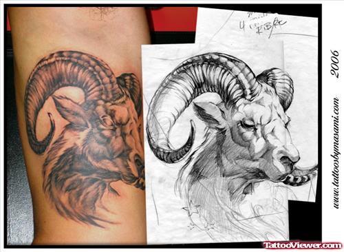 Latest Grey Ink Goat Head Aries Tattoo