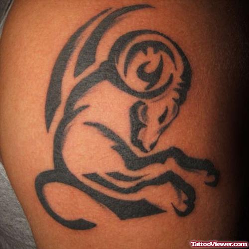 Cool Tribal Aries Tattoo