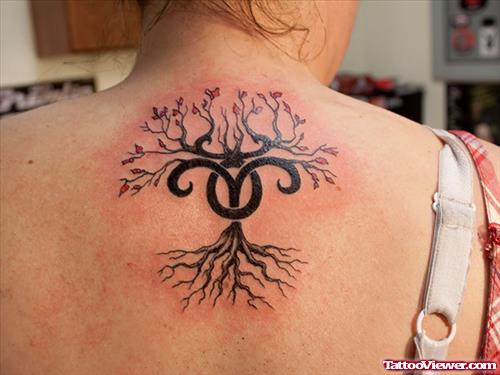 Tree And Aries Tattoo On Girl Upperback